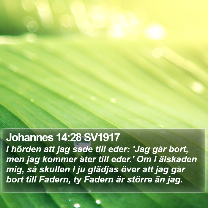 Johannes 14:28 SV1917 Bible Study