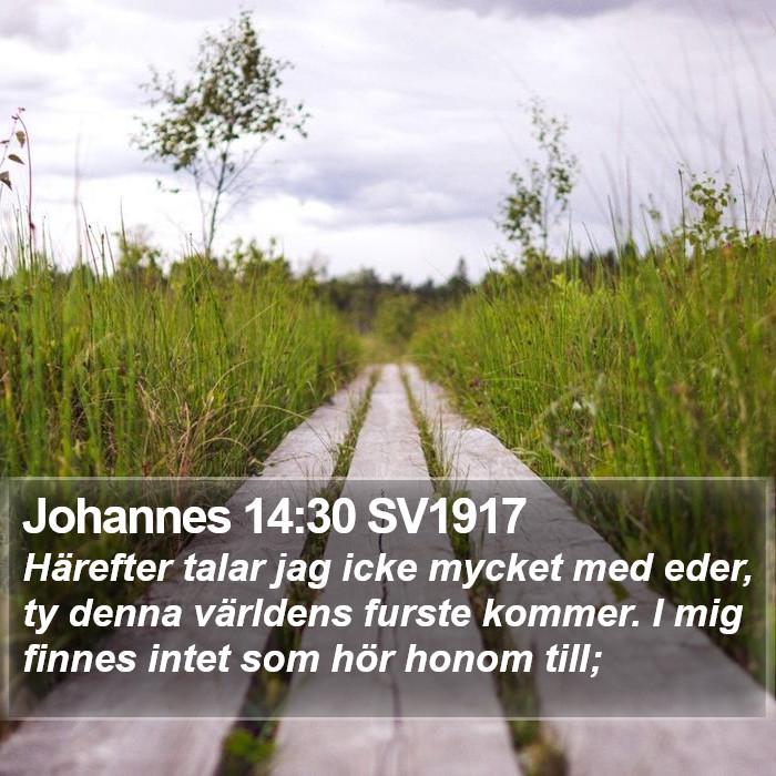 Johannes 14:30 SV1917 Bible Study