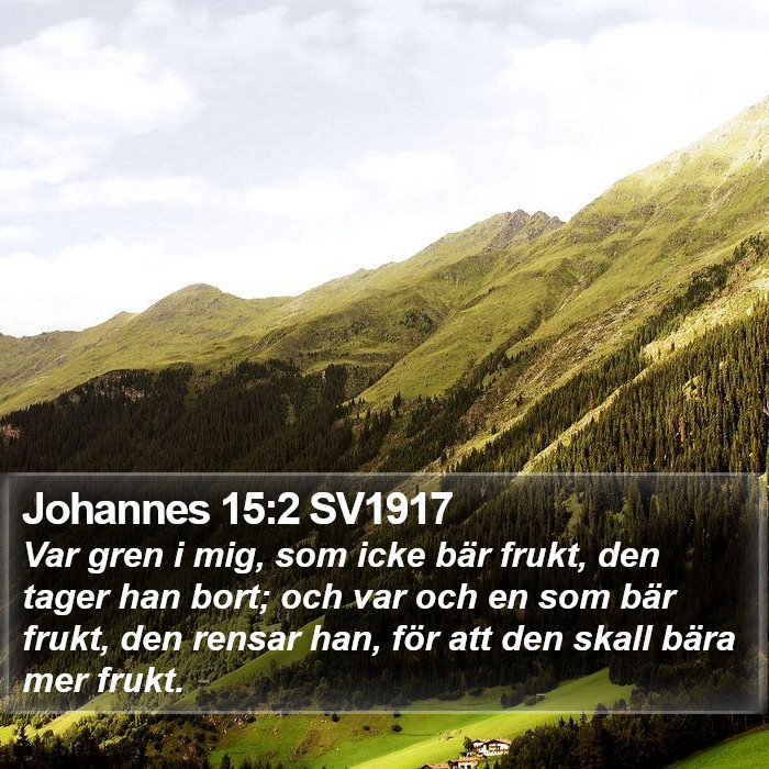 Johannes 15:2 SV1917 Bible Study