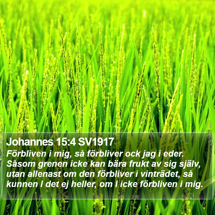 Johannes 15:4 SV1917 Bible Study