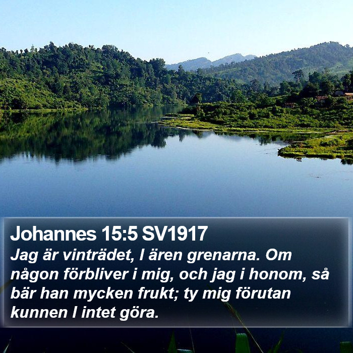 Johannes 15:5 SV1917 Bible Study