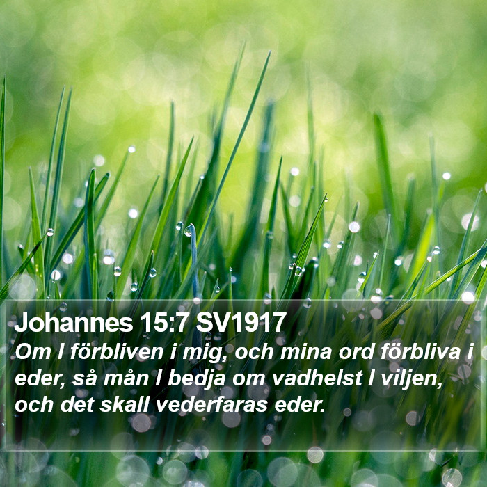 Johannes 15:7 SV1917 Bible Study