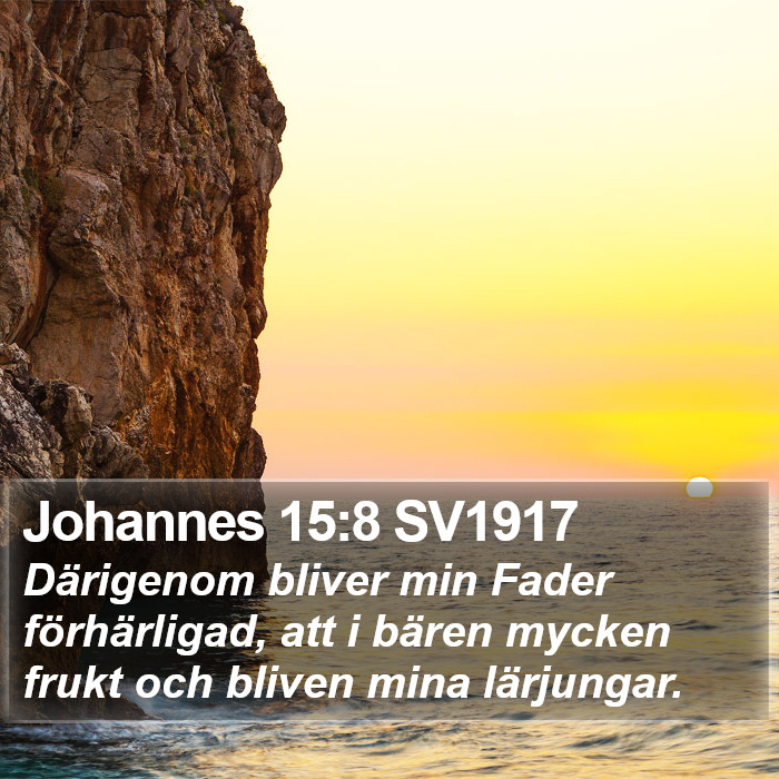 Johannes 15:8 SV1917 Bible Study