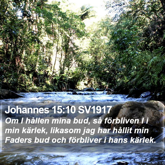 Johannes 15:10 SV1917 Bible Study