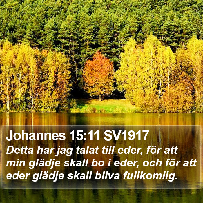 Johannes 15:11 SV1917 Bible Study