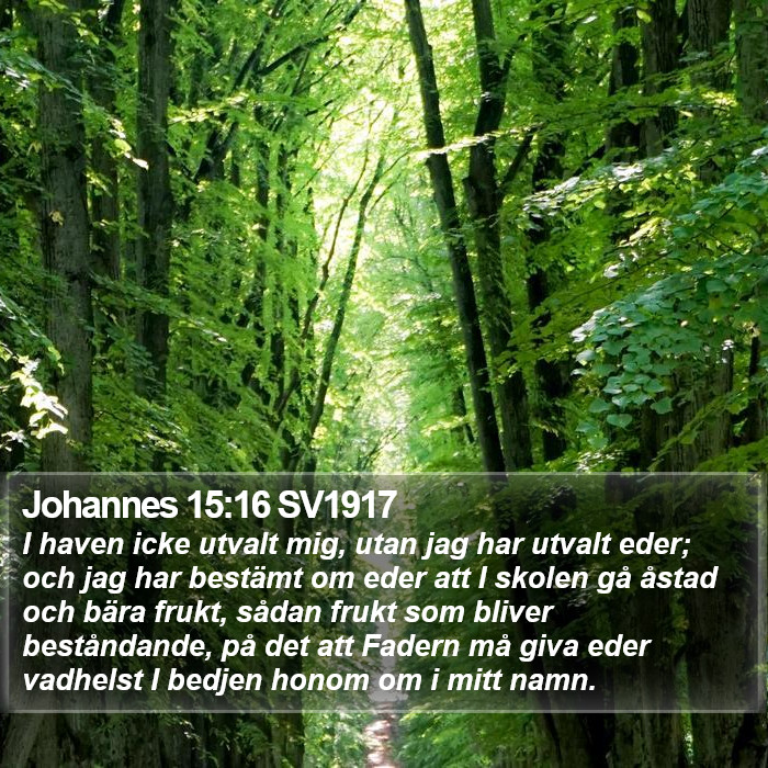 Johannes 15:16 SV1917 Bible Study