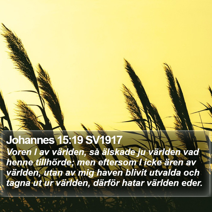 Johannes 15:19 SV1917 Bible Study