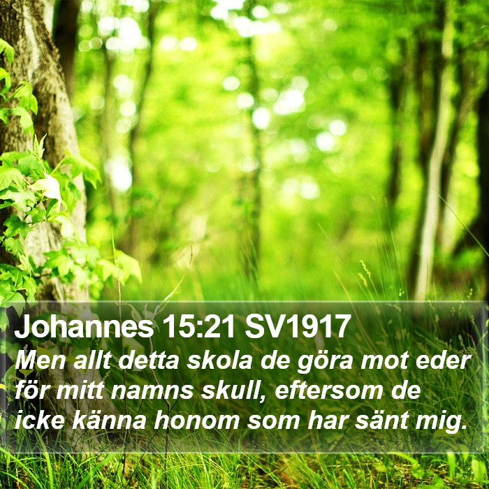 Johannes 15:21 SV1917 Bible Study