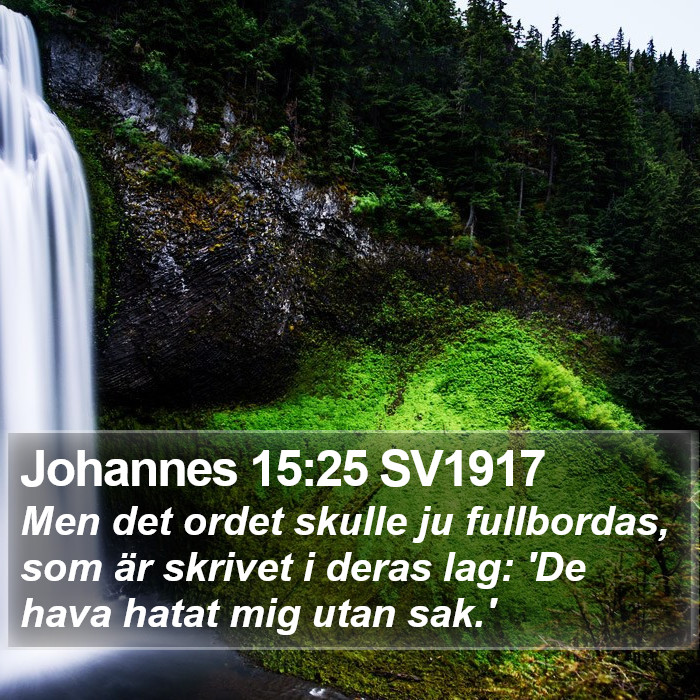 Johannes 15:25 SV1917 Bible Study