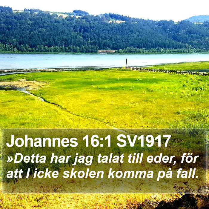 Johannes 16:1 SV1917 Bible Study