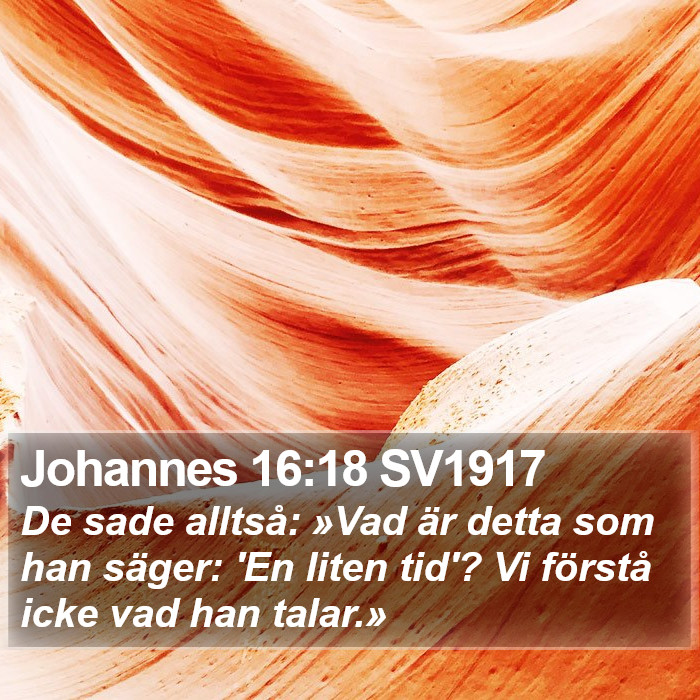 Johannes 16:18 SV1917 Bible Study