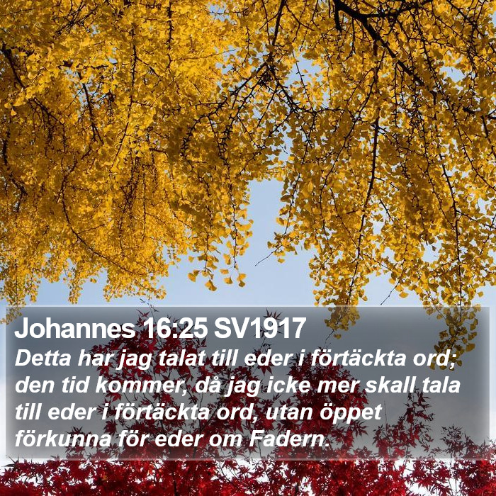 Johannes 16:25 SV1917 Bible Study