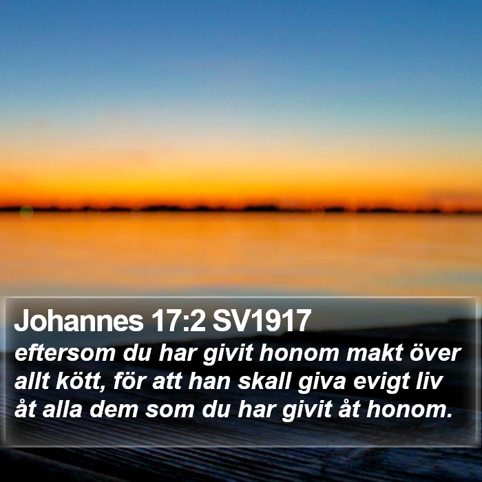 Johannes 17:2 SV1917 Bible Study