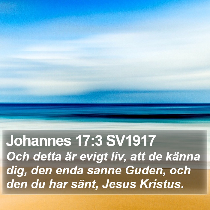 Johannes 17:3 SV1917 Bible Study