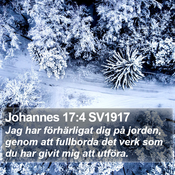 Johannes 17:4 SV1917 Bible Study