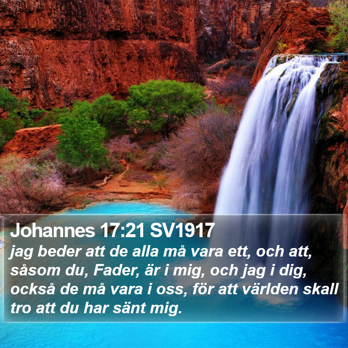 Johannes 17:21 SV1917 Bible Study