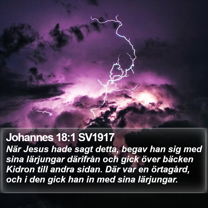 Johannes 18:1 SV1917 Bible Study