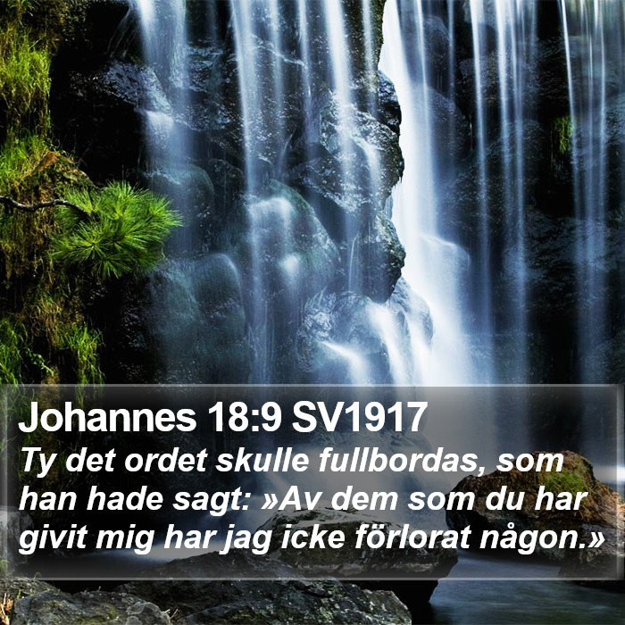 Johannes 18:9 SV1917 Bible Study