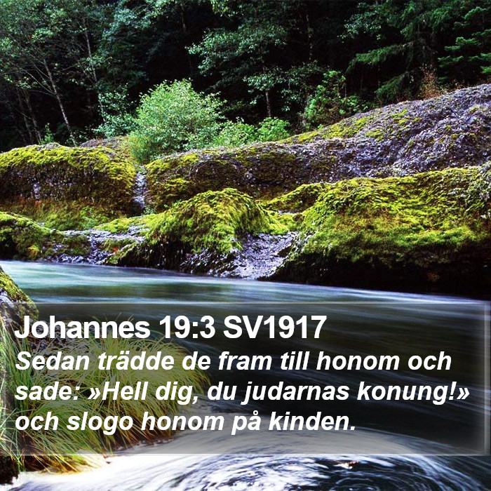 Johannes 19:3 SV1917 Bible Study