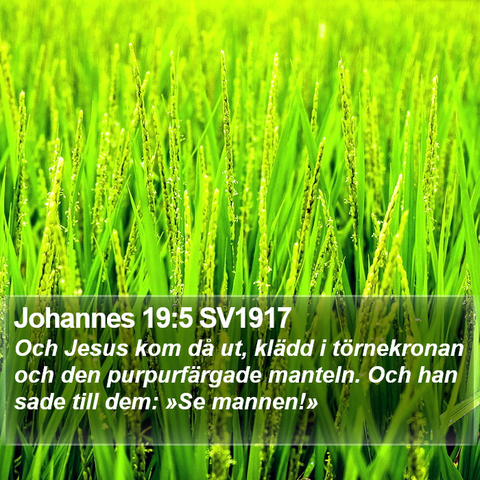 Johannes 19:5 SV1917 Bible Study