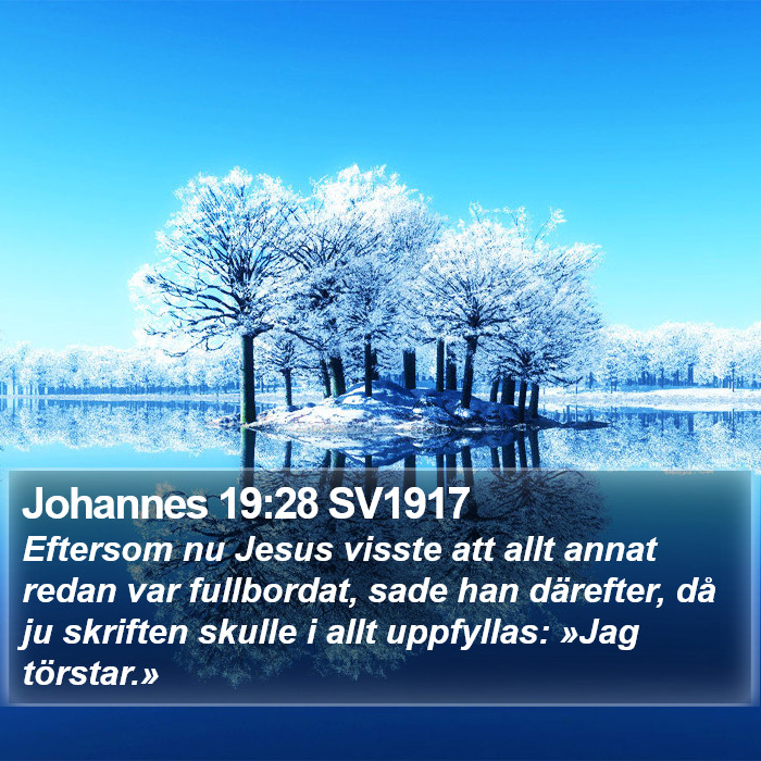 Johannes 19:28 SV1917 Bible Study