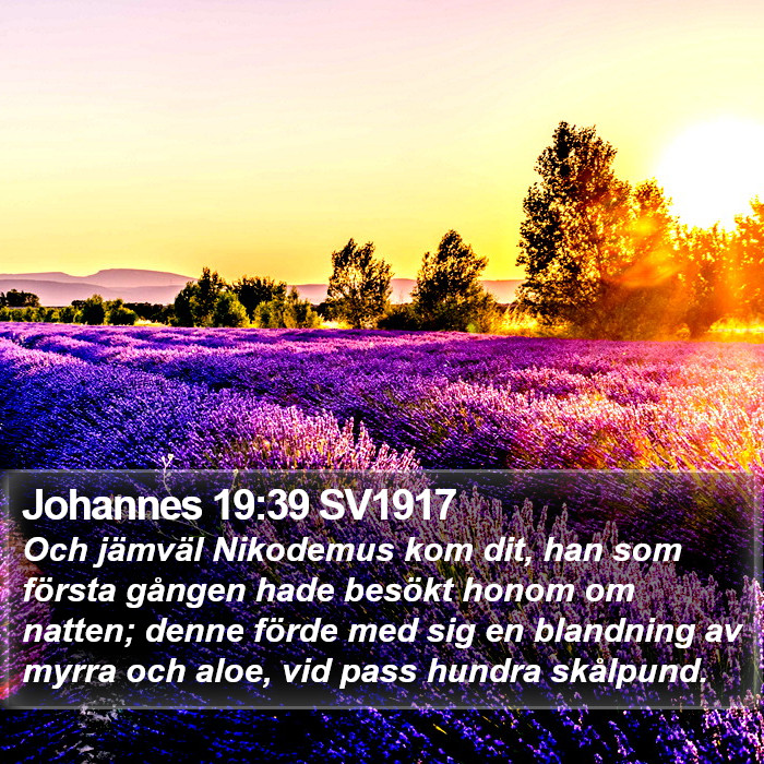 Johannes 19:39 SV1917 Bible Study