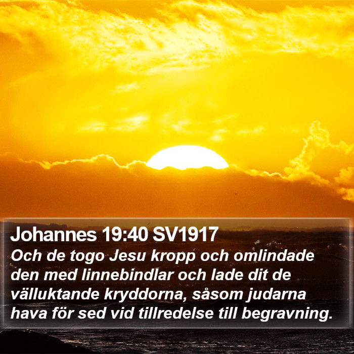 Johannes 19:40 SV1917 Bible Study