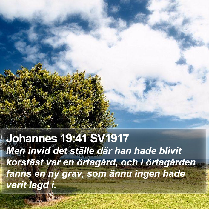 Johannes 19:41 SV1917 Bible Study