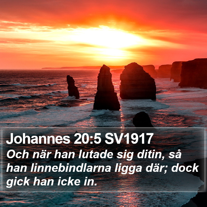 Johannes 20:5 SV1917 Bible Study