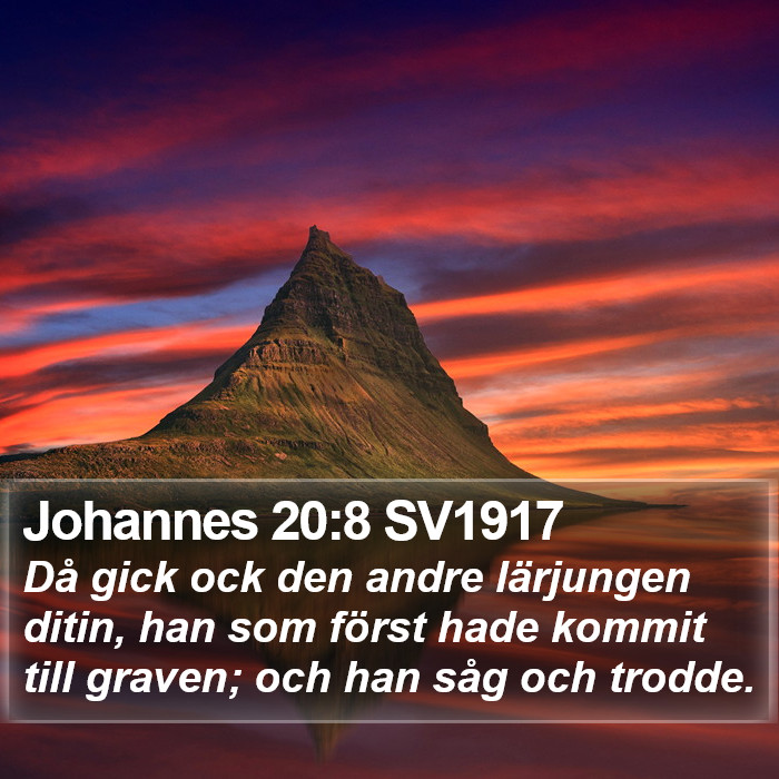 Johannes 20:8 SV1917 Bible Study