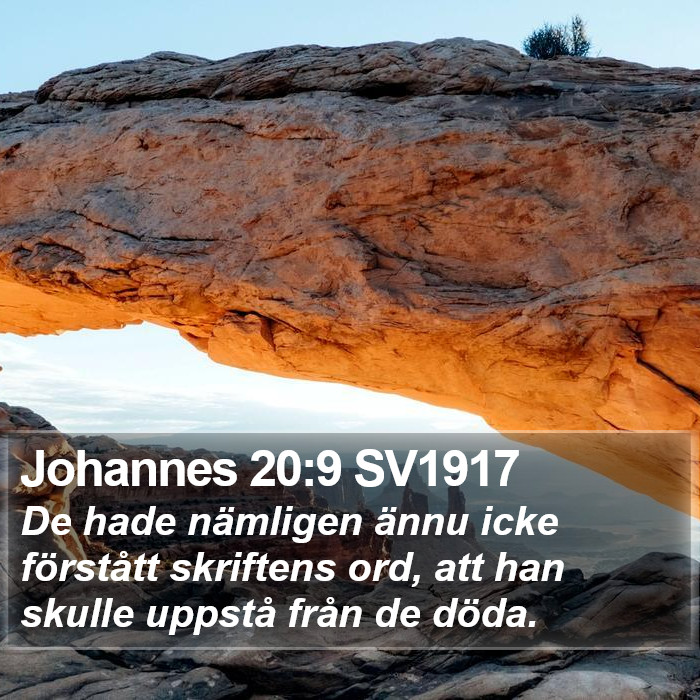 Johannes 20:9 SV1917 Bible Study