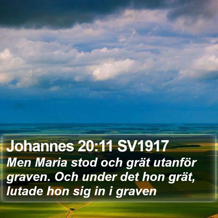 Johannes 20:11 SV1917 Bible Study