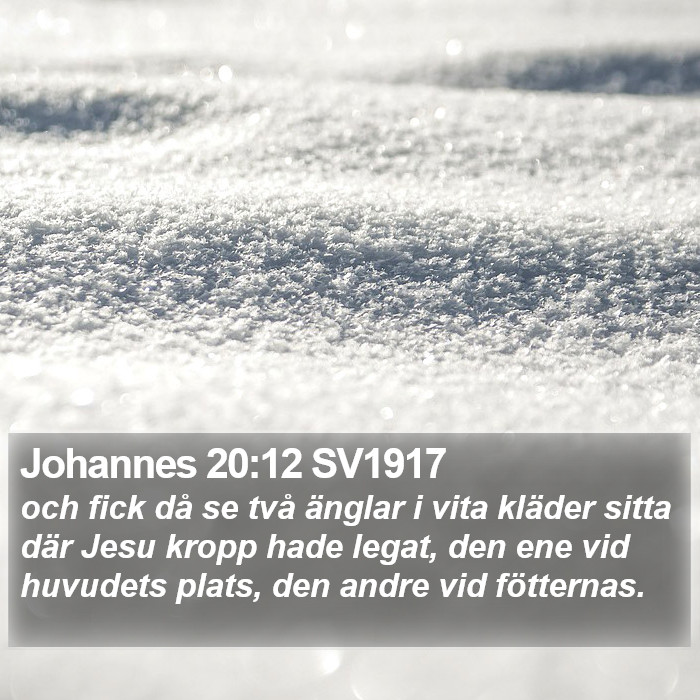 Johannes 20:12 SV1917 Bible Study