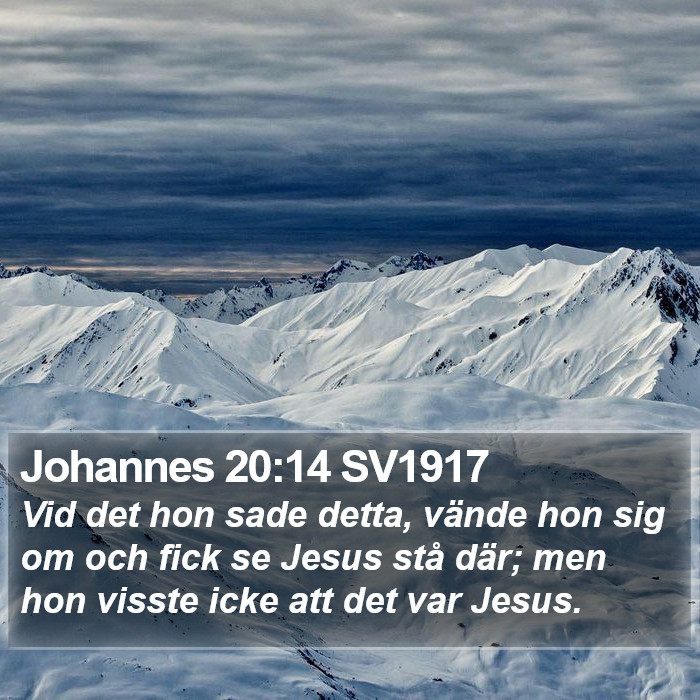 Johannes 20:14 SV1917 Bible Study