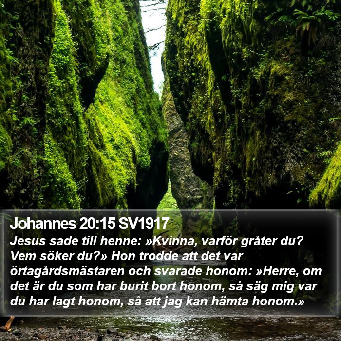 Johannes 20:15 SV1917 Bible Study