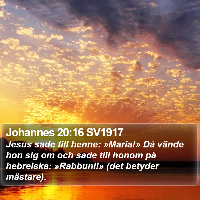 Johannes 20:16 SV1917 Bible Study