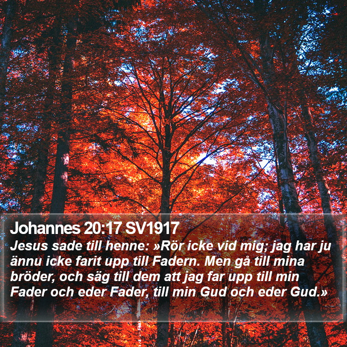 Johannes 20:17 SV1917 Bible Study