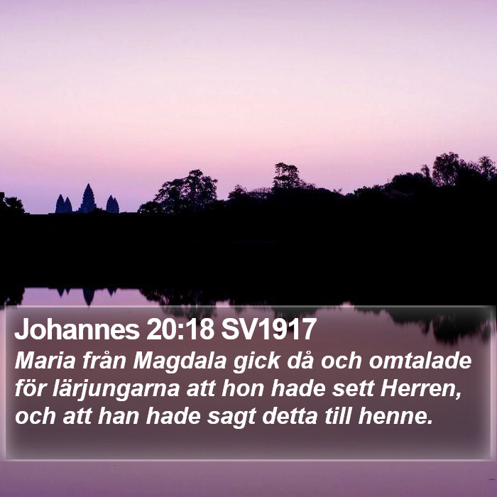 Johannes 20:18 SV1917 Bible Study