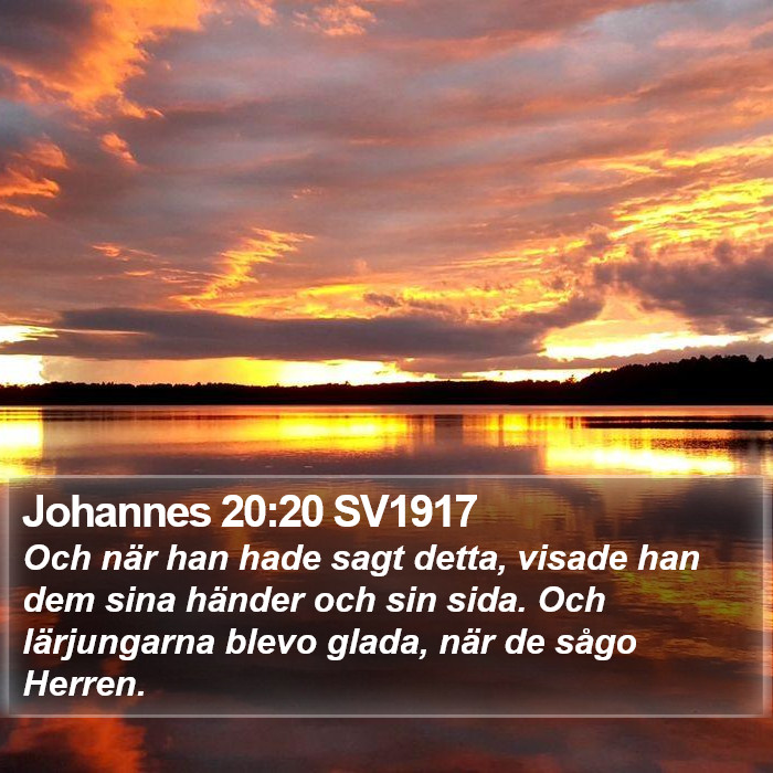 Johannes 20:20 SV1917 Bible Study