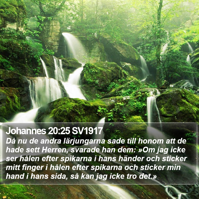 Johannes 20:25 SV1917 Bible Study