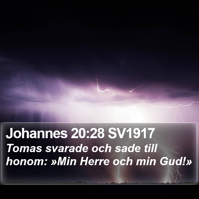 Johannes 20:28 SV1917 Bible Study