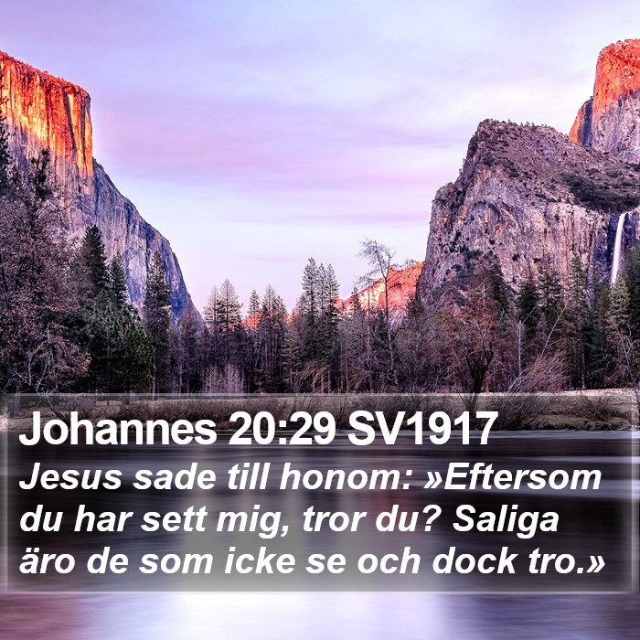 Johannes 20:29 SV1917 Bible Study