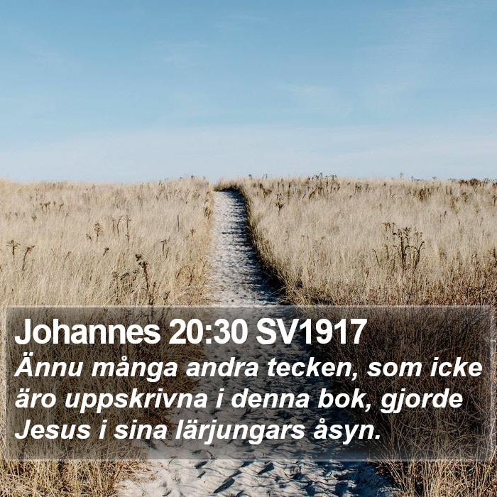 Johannes 20:30 SV1917 Bible Study