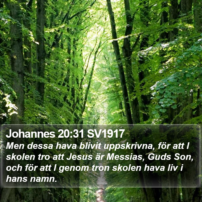 Johannes 20:31 SV1917 Bible Study