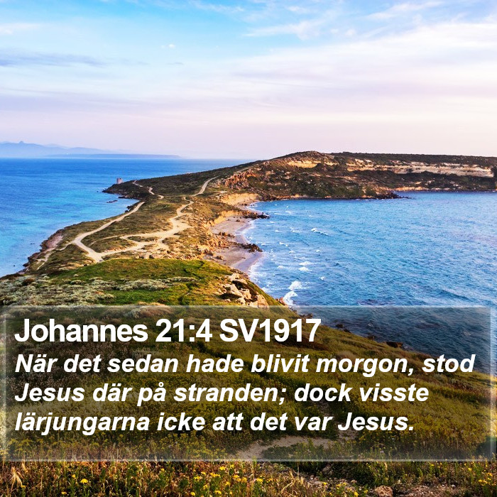 Johannes 21:4 SV1917 Bible Study