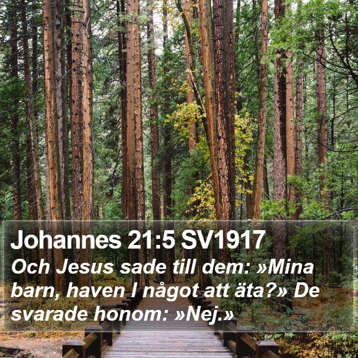 Johannes 21:5 SV1917 Bible Study