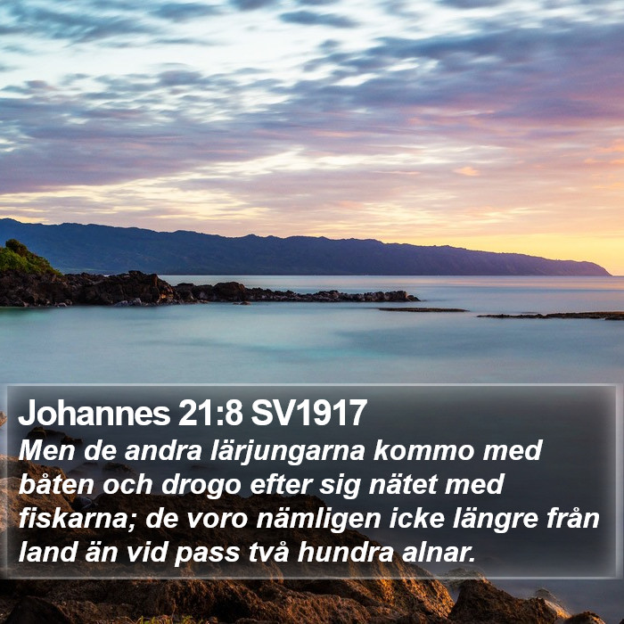 Johannes 21:8 SV1917 Bible Study