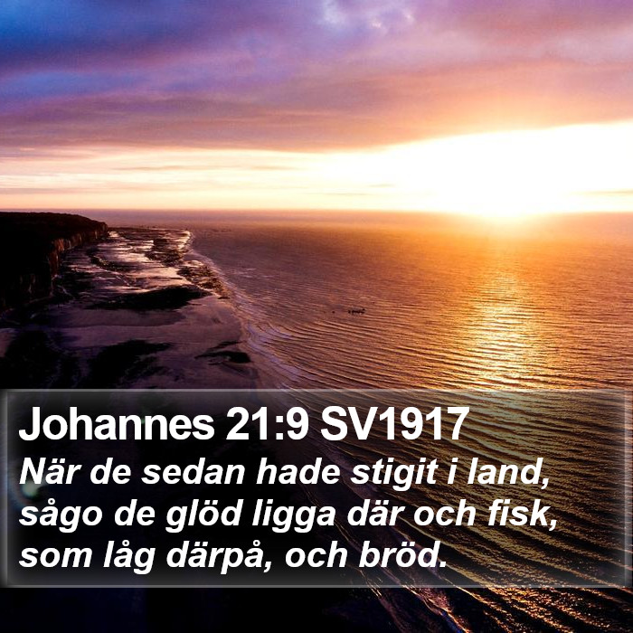 Johannes 21:9 SV1917 Bible Study