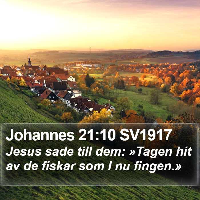 Johannes 21:10 SV1917 Bible Study