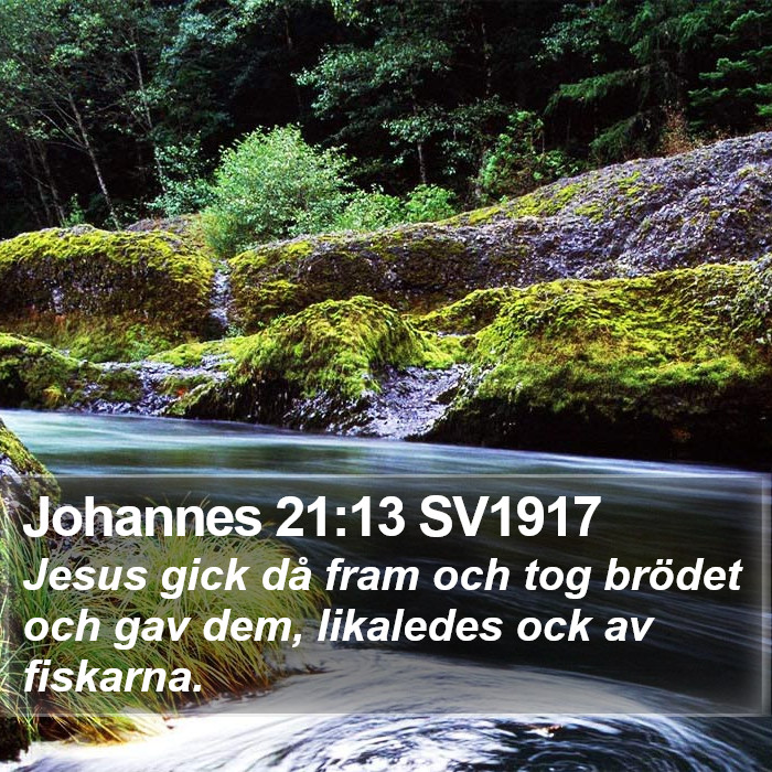 Johannes 21:13 SV1917 Bible Study